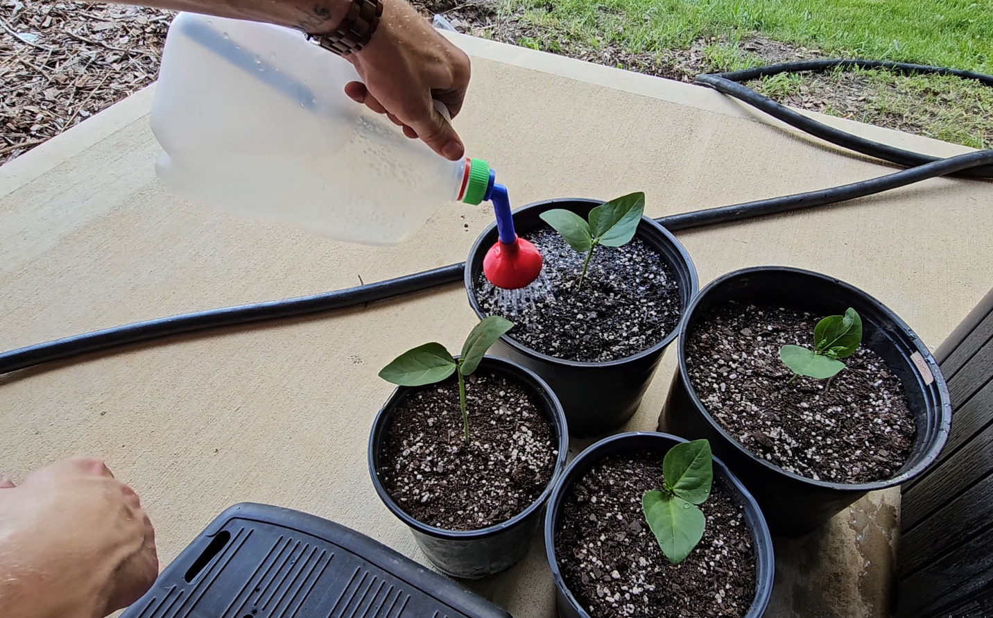 Gallon Jug Gardening Adapter 3D print model_4