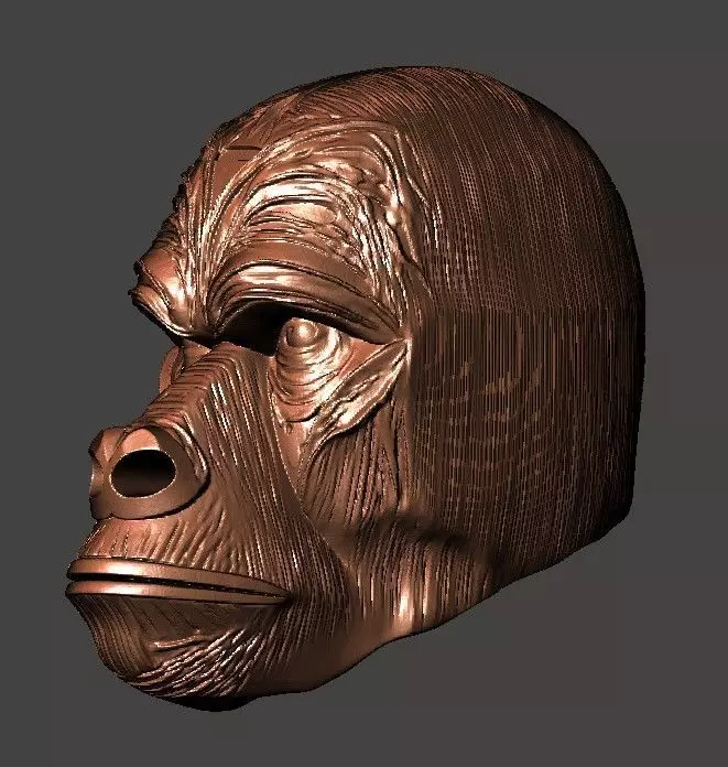 Gorilla Head 3D print model_0