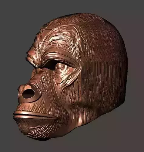 Gorilla Head