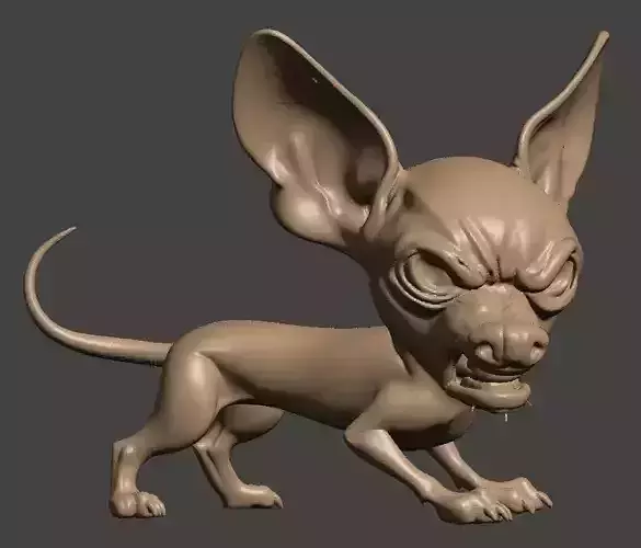 Chihuahua Dog