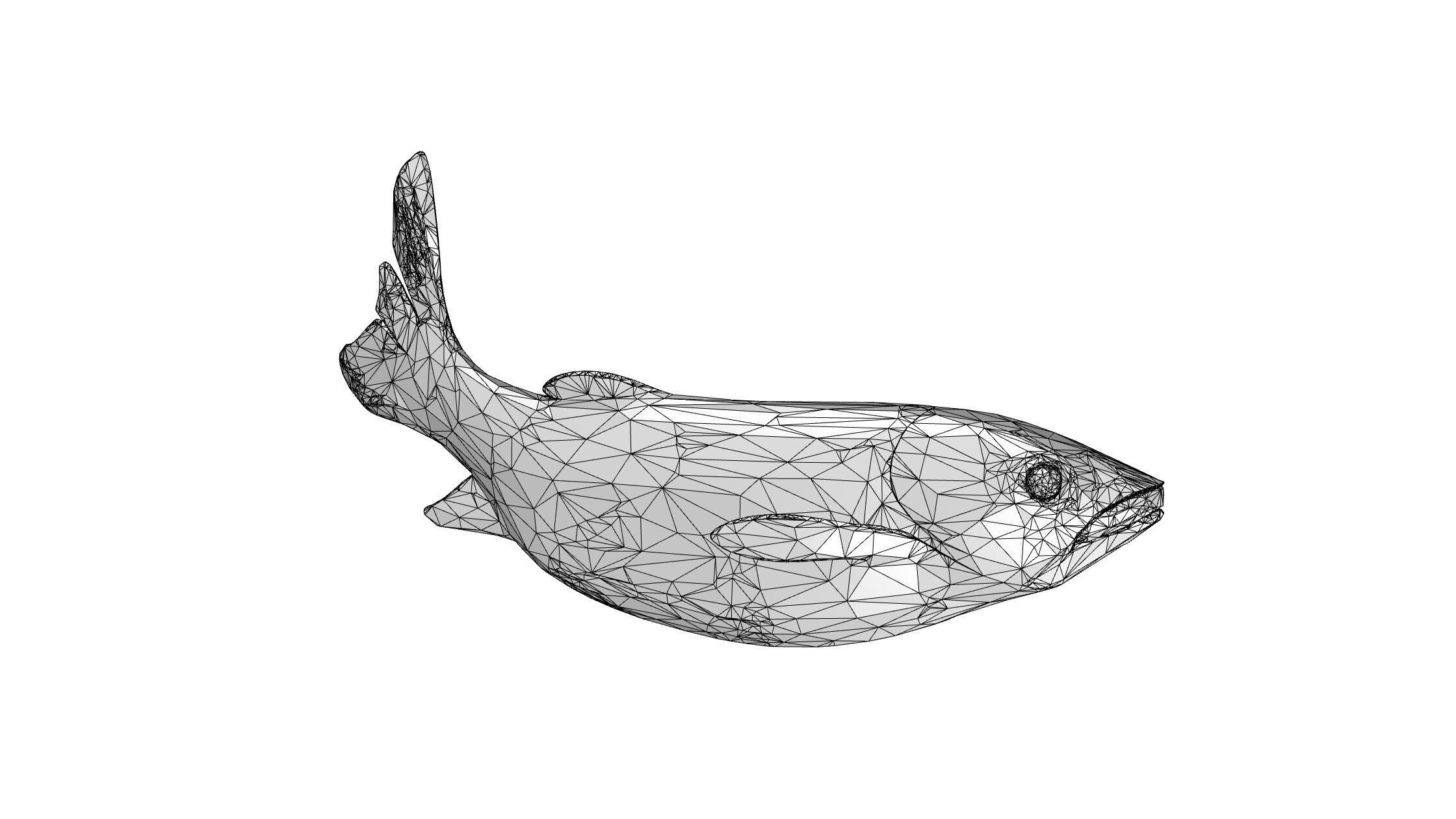 Grass carp Low-poly 3D model_6