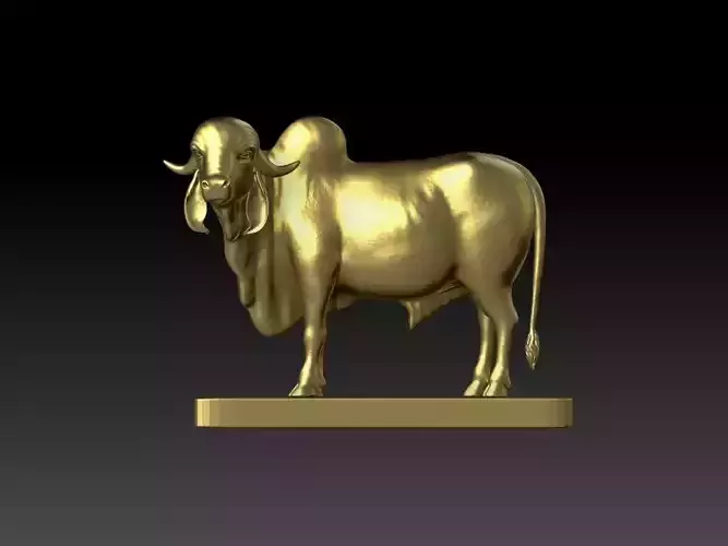 NANDI BULL