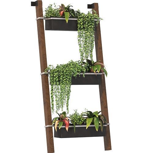 Plant Set 05 3D model
