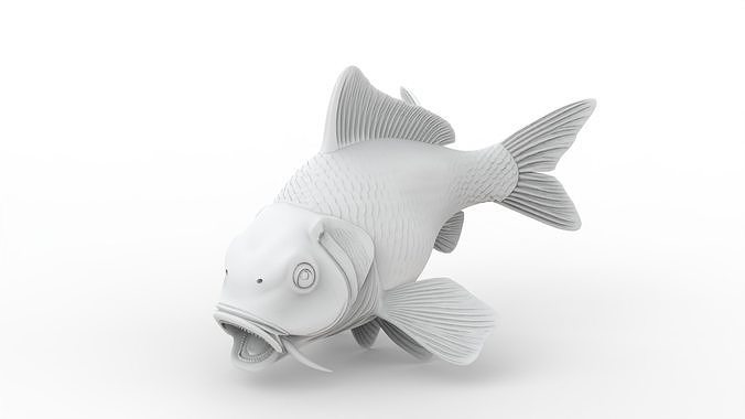 Koi Fish 3D Print Model 3D print model