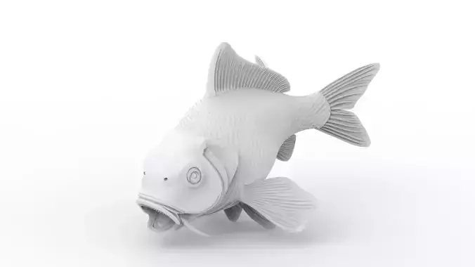 Koi Fish 3D Print Model