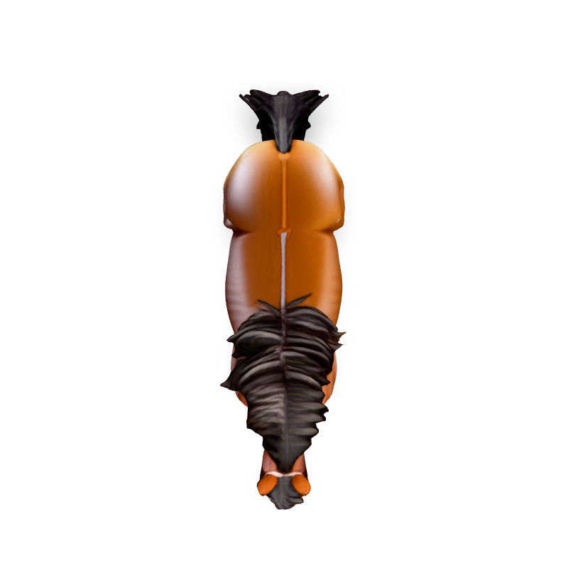 Realistic Chestnut Horse 3D Model Low-poly 3D model_7