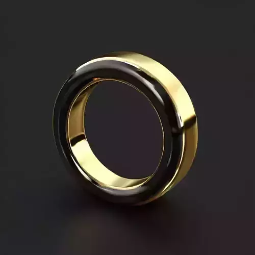 Elegant TwoTone Gold and Black Ring