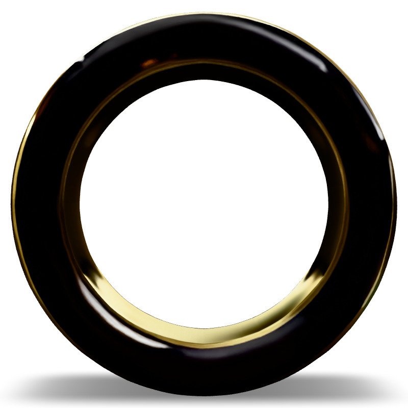 Elegant TwoTone Gold and Black Ring Low-poly 3D model_6