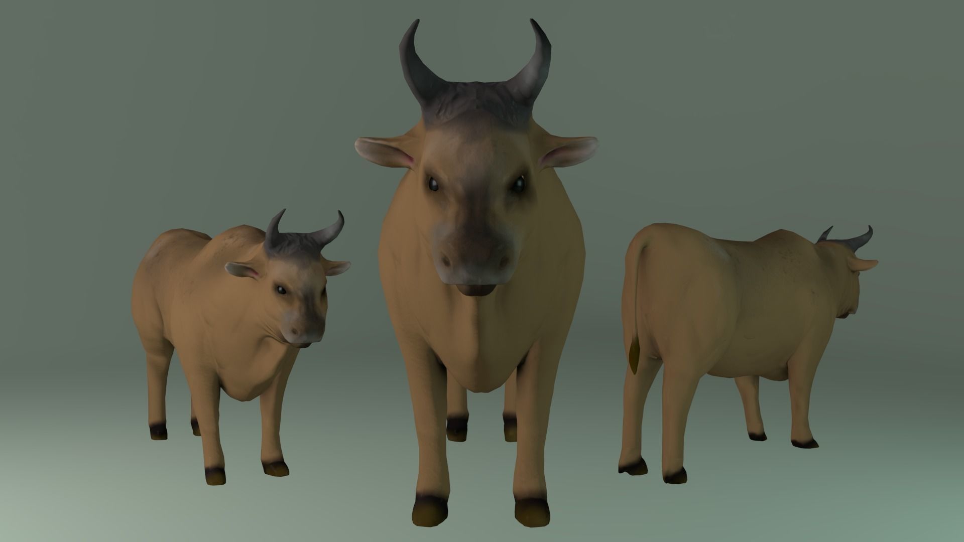 Ox Model three cows with horns Free low-poly 3D model_0