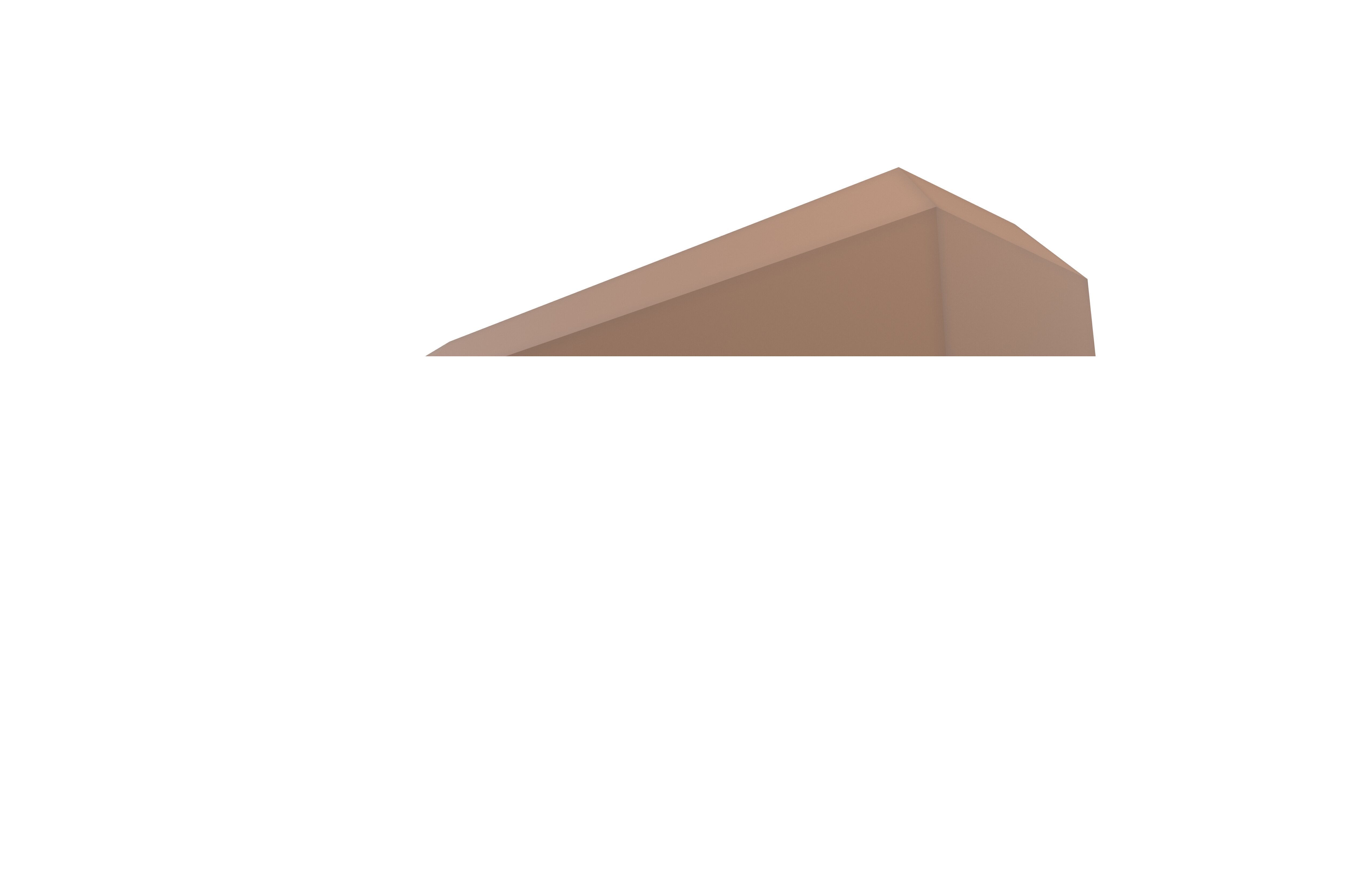 Low poly Coffin v1 001 Low-poly 3D model_3
