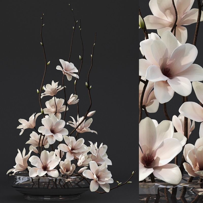 Magnolia arrangement 3D model_2