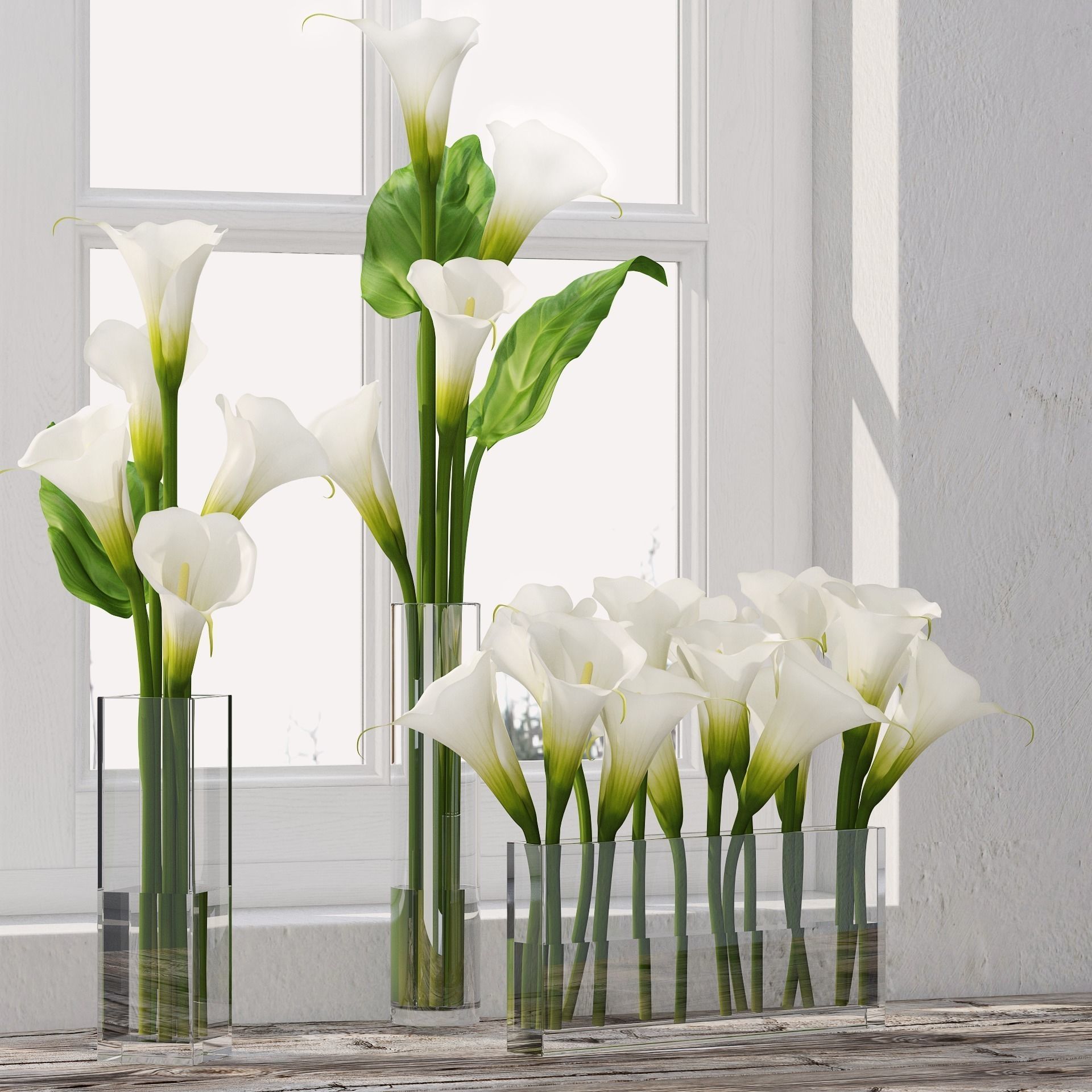 Calla Lily 3D model_0