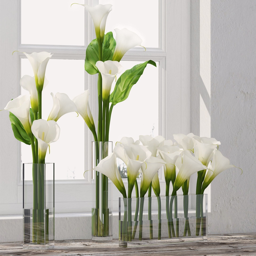 Calla Lily 3D model