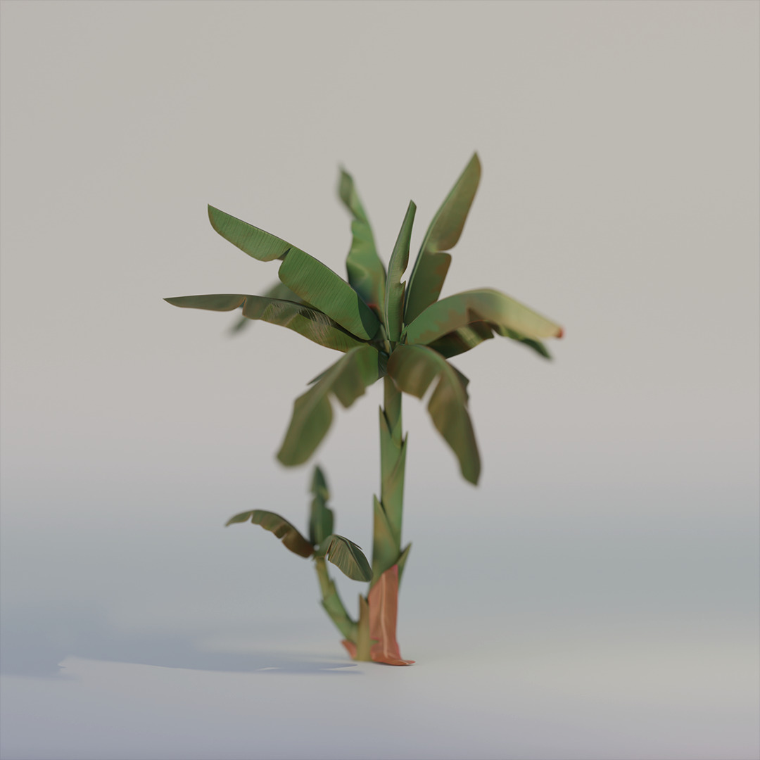 Stylized 3D Tree Pack 3D model_1