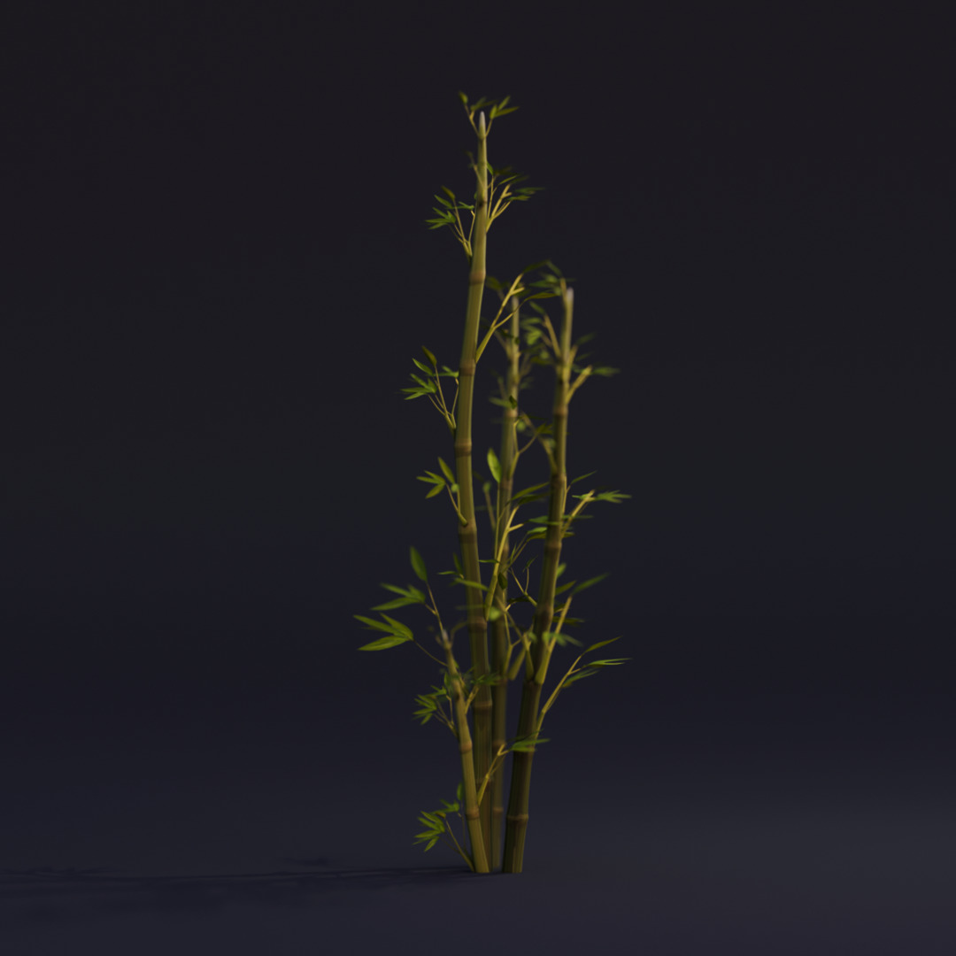 Stylized 3D Tree Pack 3D model_5