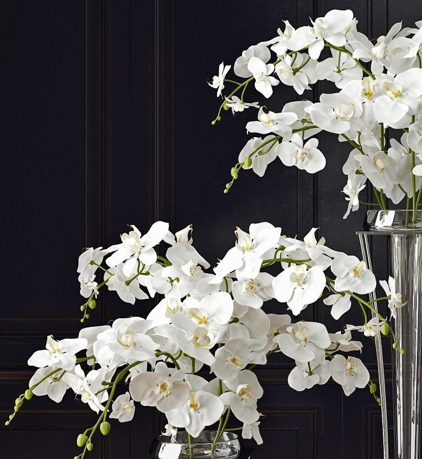 Floor standing orchid arrangement 3D model_2