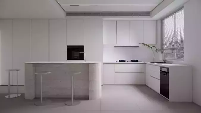 Modern Minimalist Kitchen Space Model