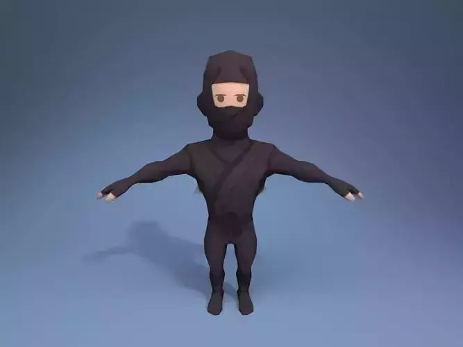 Ninja