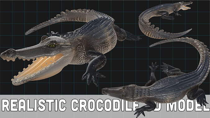 Realistic Crocodile Prehistoric Reptile Creature 3D model