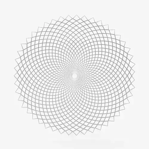 Chilewich Dahlia Indoor Outdoor Placemats