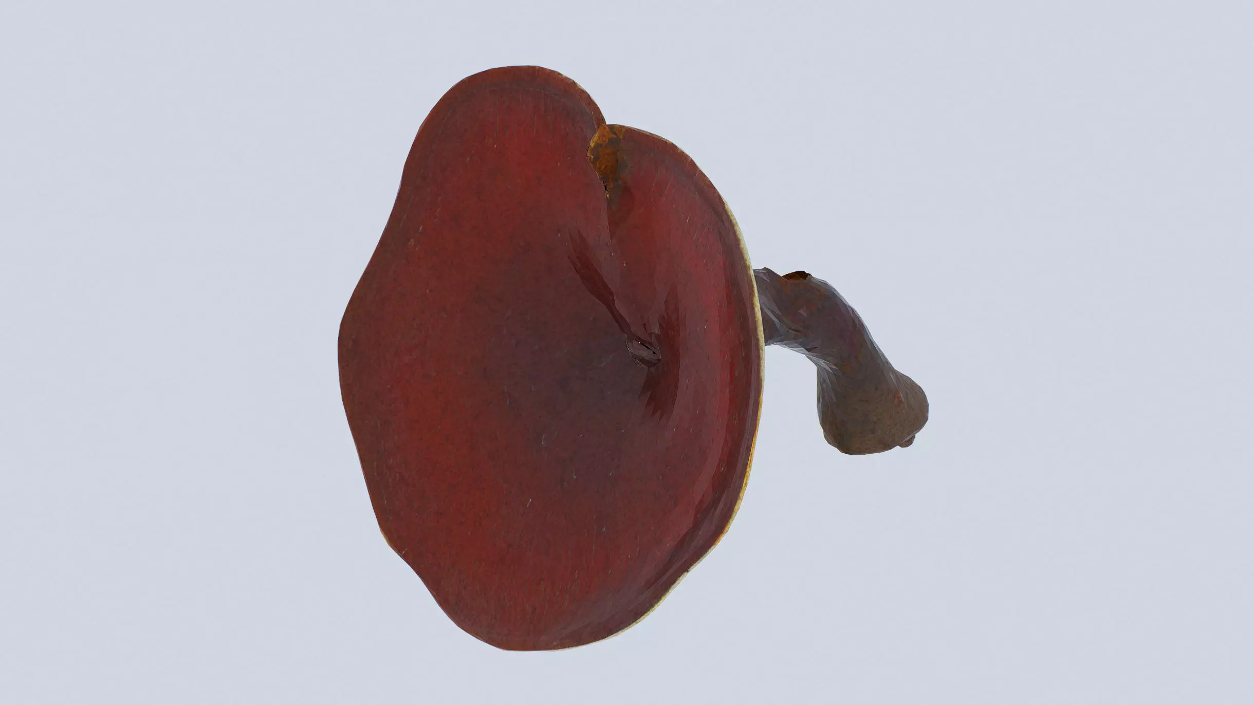 Ganoderma Mushroom Low-poly 3D model_0