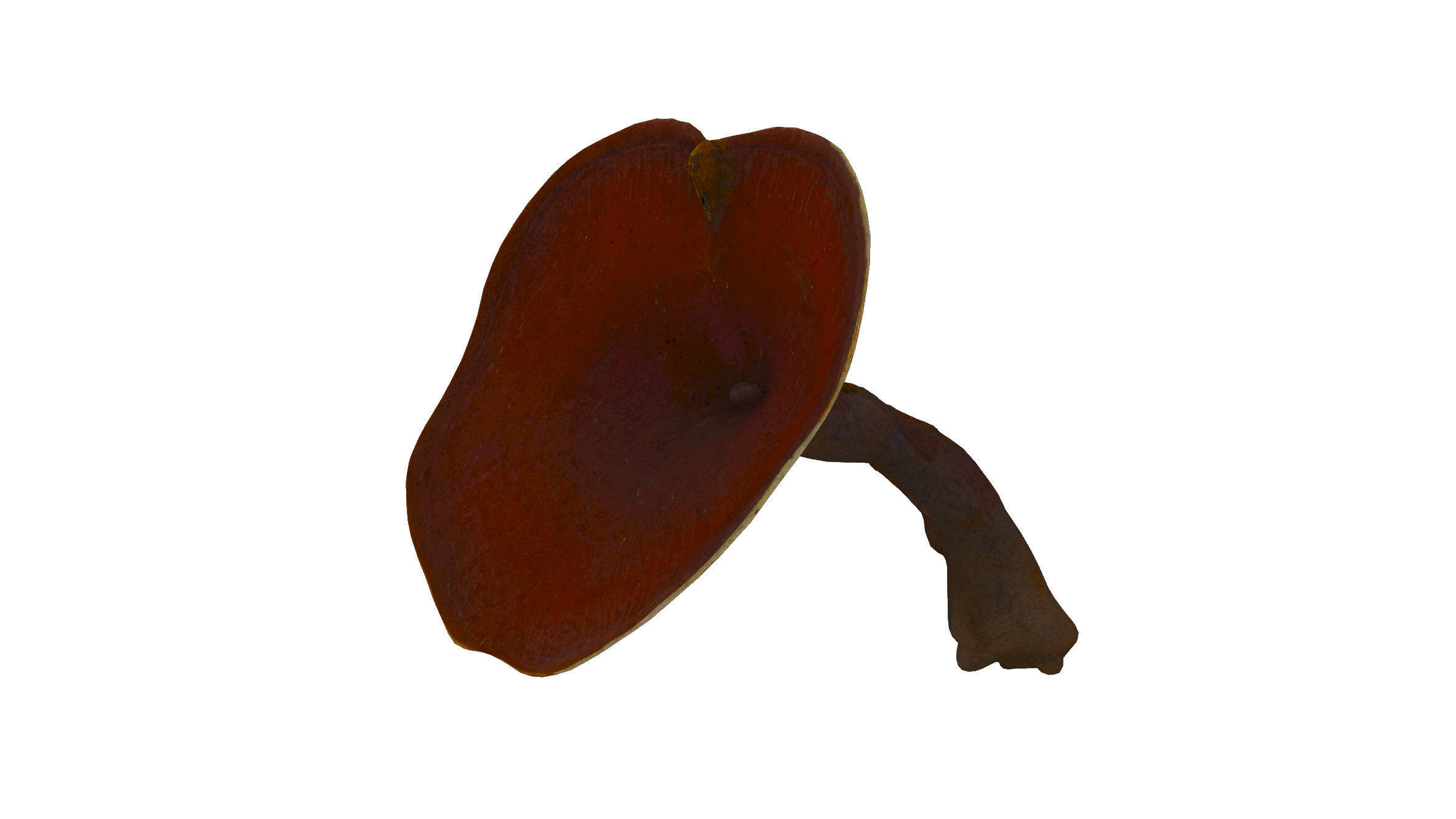 Ganoderma Mushroom Low-poly 3D model_5