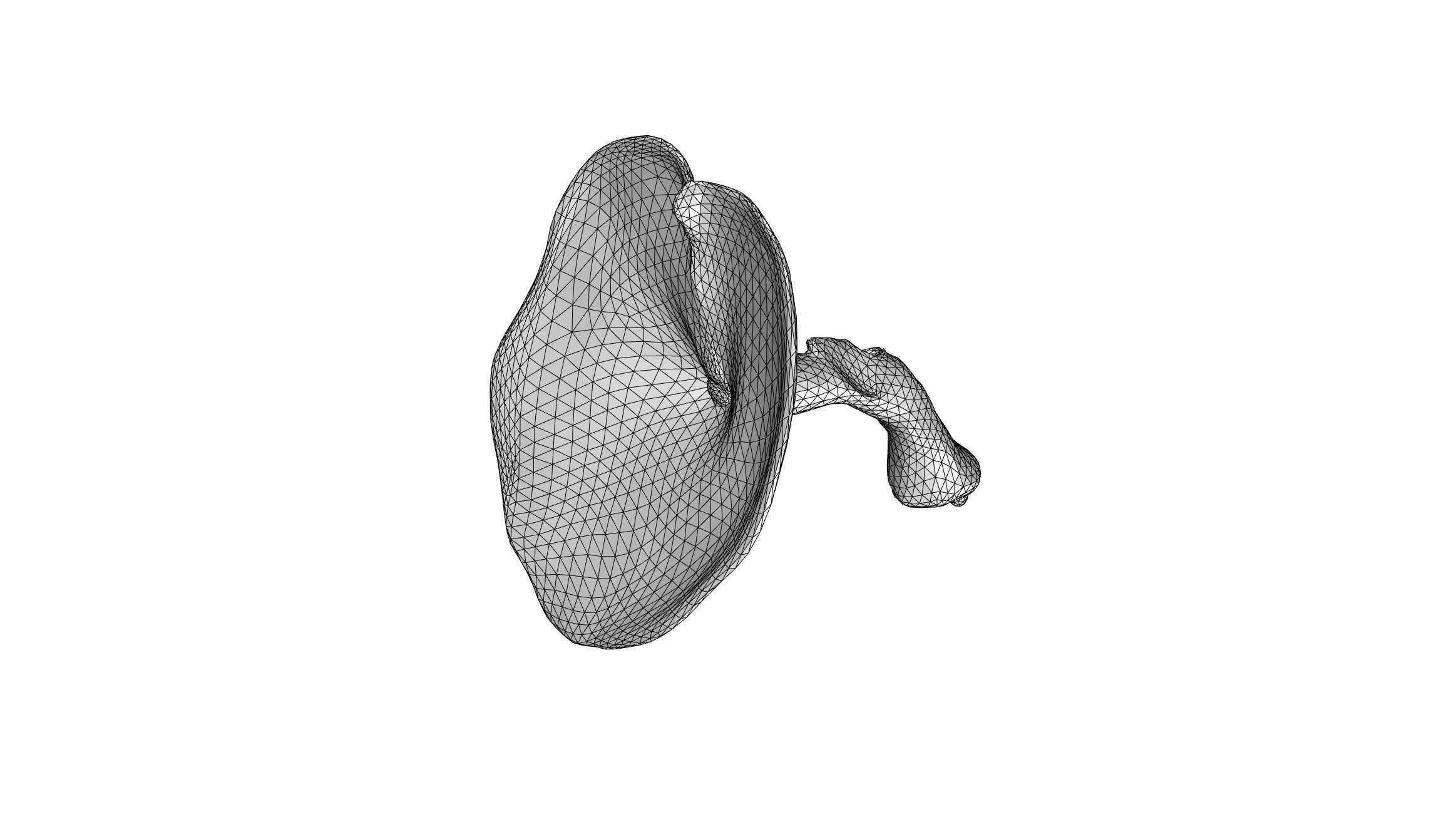 Ganoderma Mushroom Low-poly 3D model_6