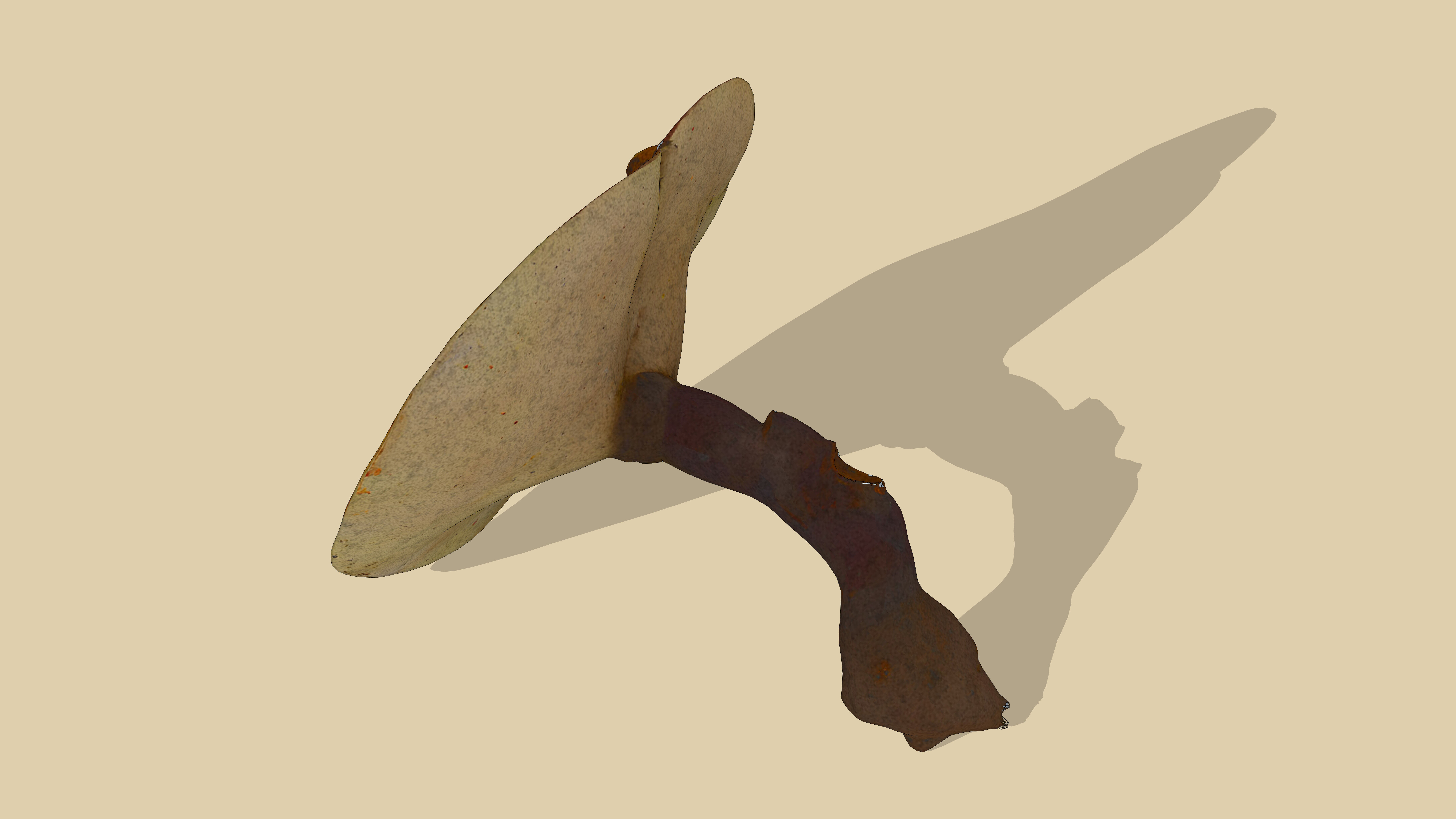 Ganoderma Mushroom Low-poly 3D model_4