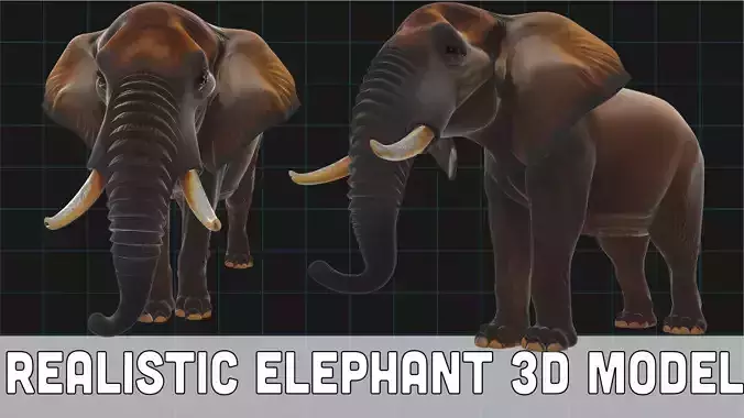 Realistic Elephant 3D Model African Elephant