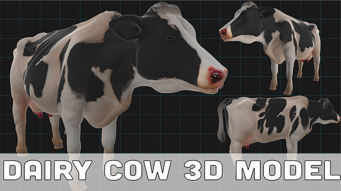Realistic Dairy Cow Holstein Cow Model 3D model