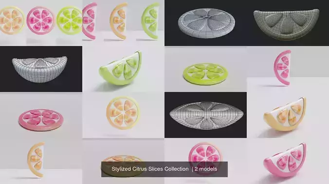 Stylized Citrus Slices Collection 
