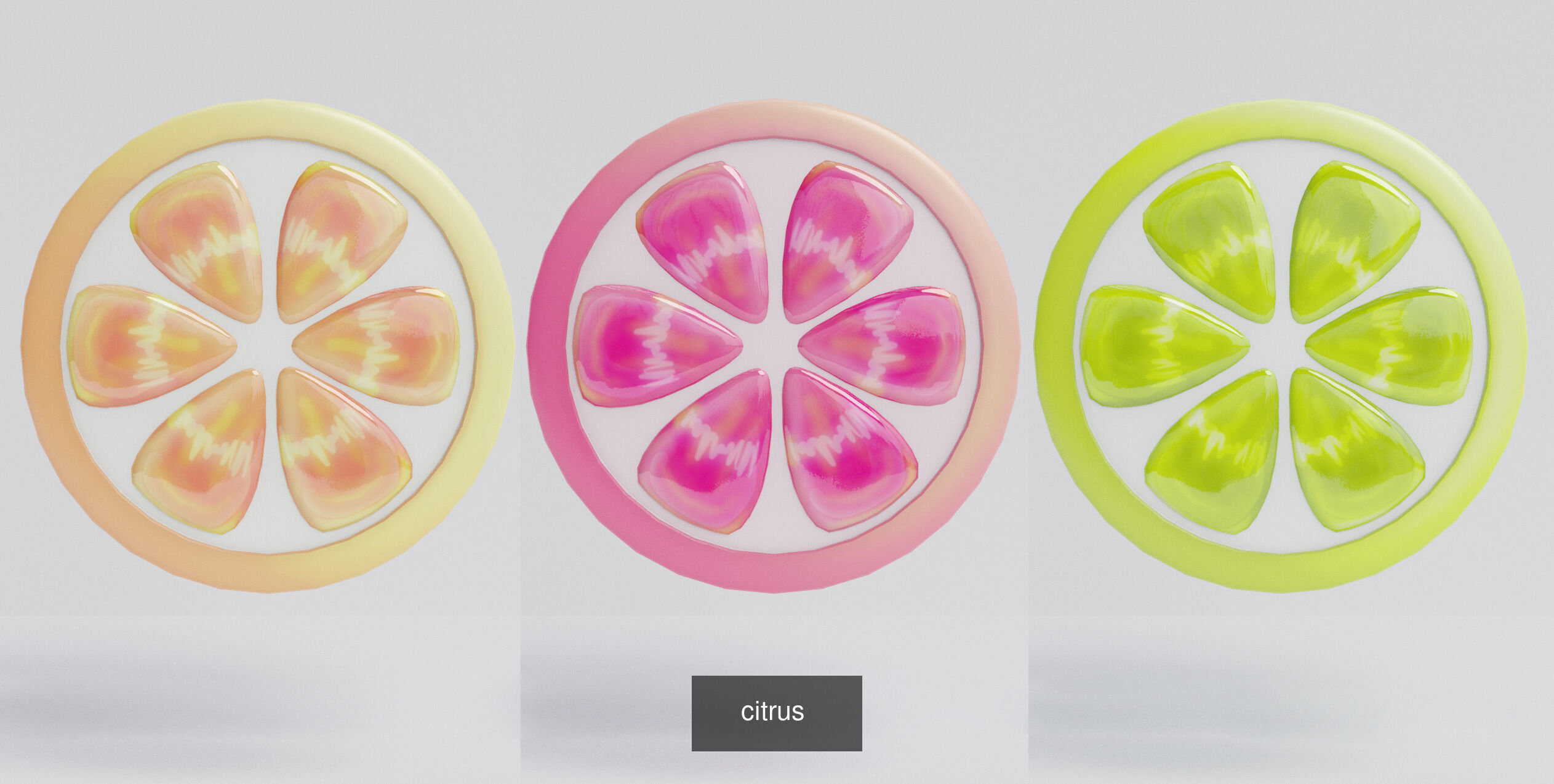Stylized Citrus Slices Collection  _3
