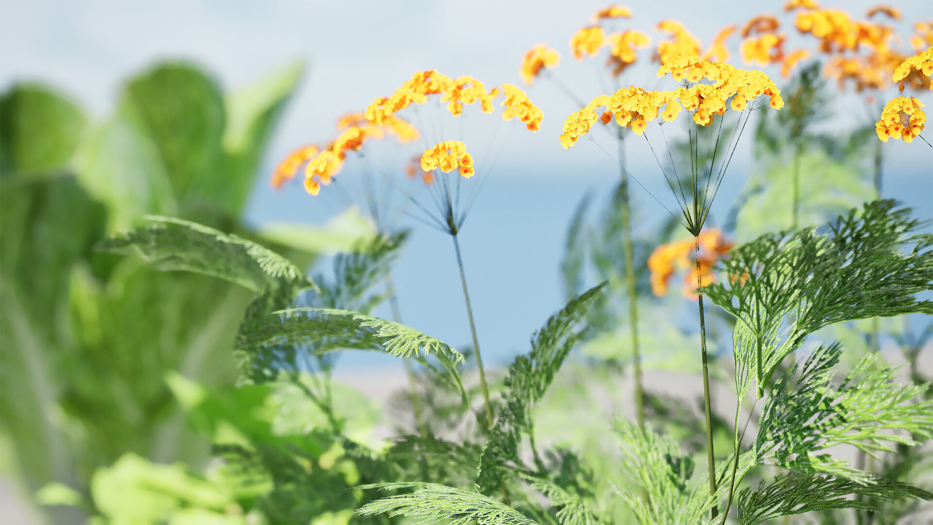 Leafy Greens 3D Pack Low-poly 3D model_7