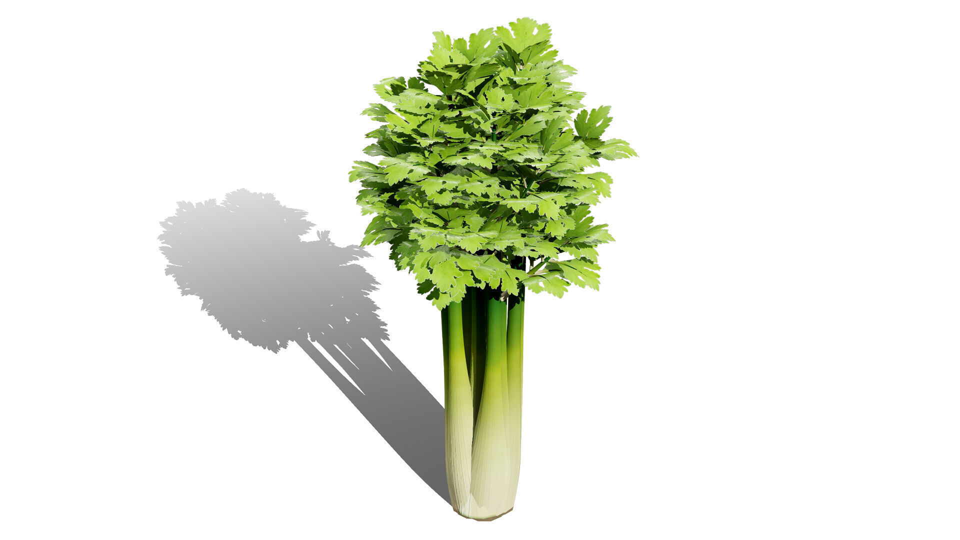 Leafy Greens 3D Pack Low-poly 3D model_2