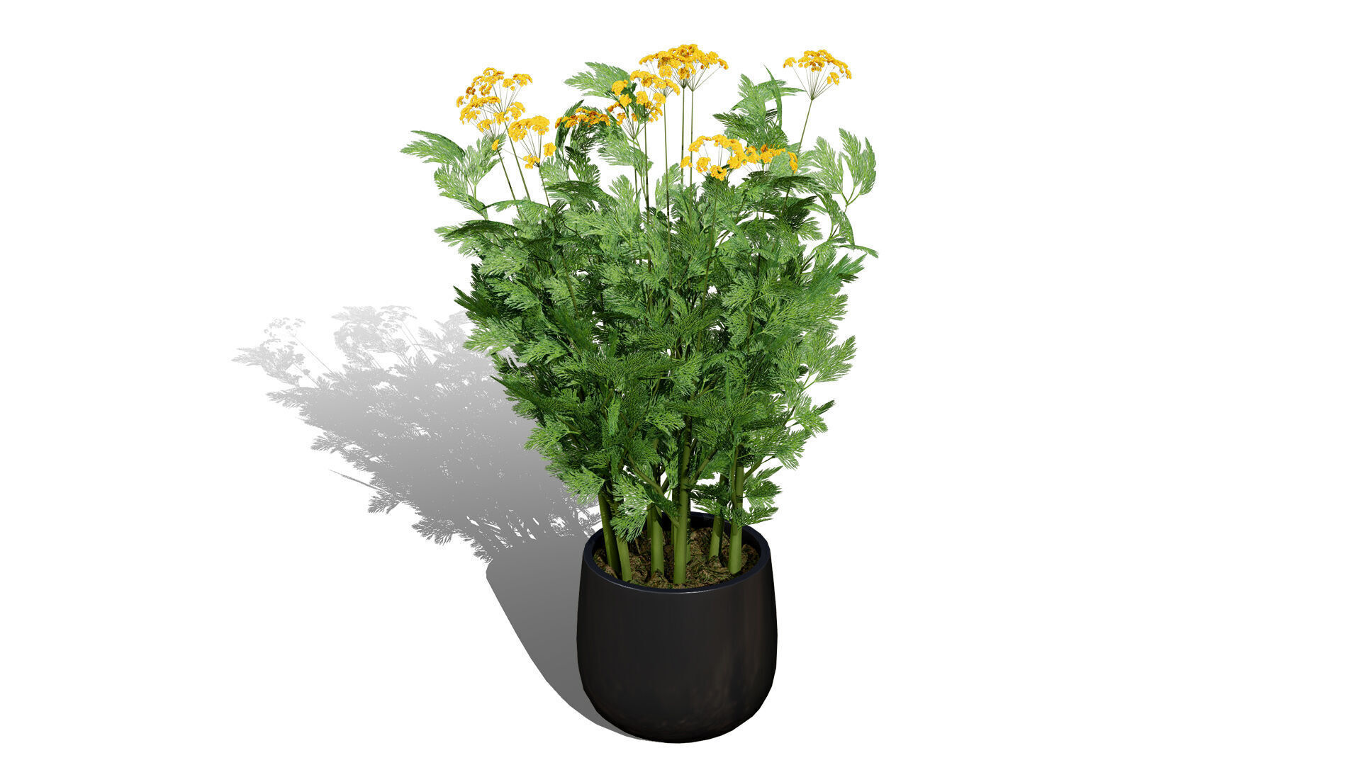 Leafy Greens 3D Pack Low-poly 3D model_8