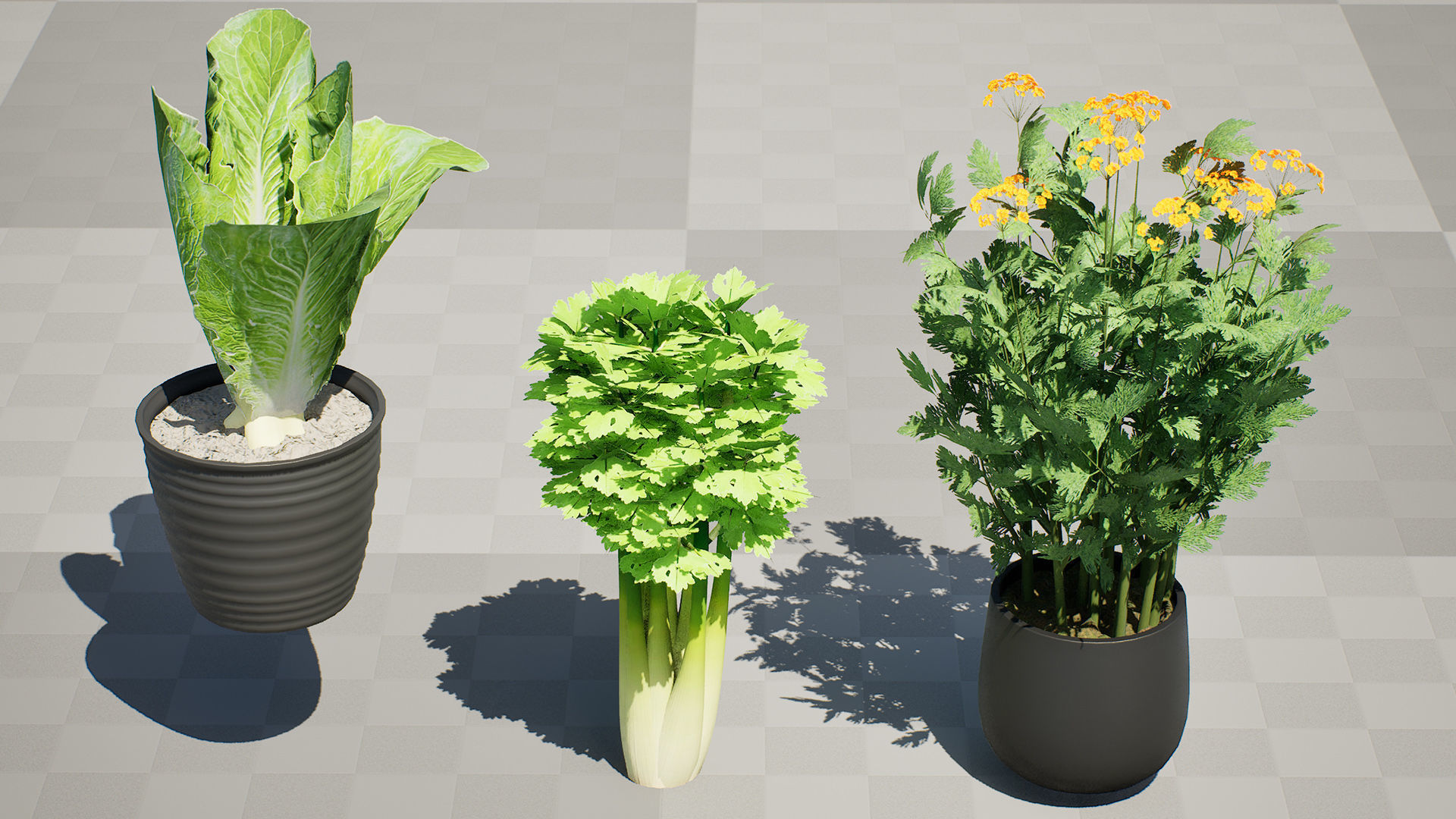 Leafy Greens 3D Pack Low-poly 3D model_6