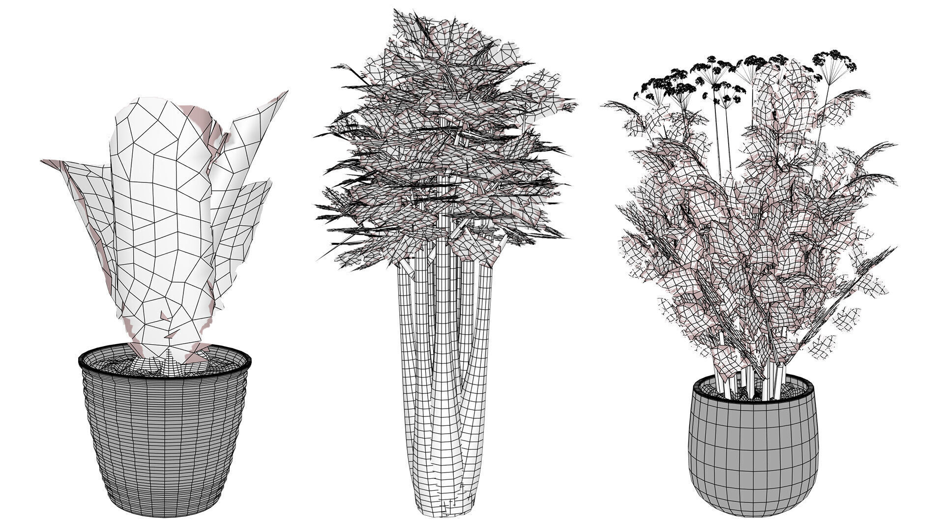 Leafy Greens 3D Pack Low-poly 3D model_10