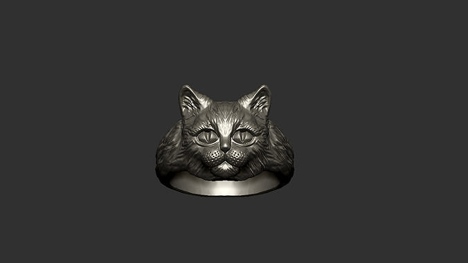 Cat Head Ring 3D print model