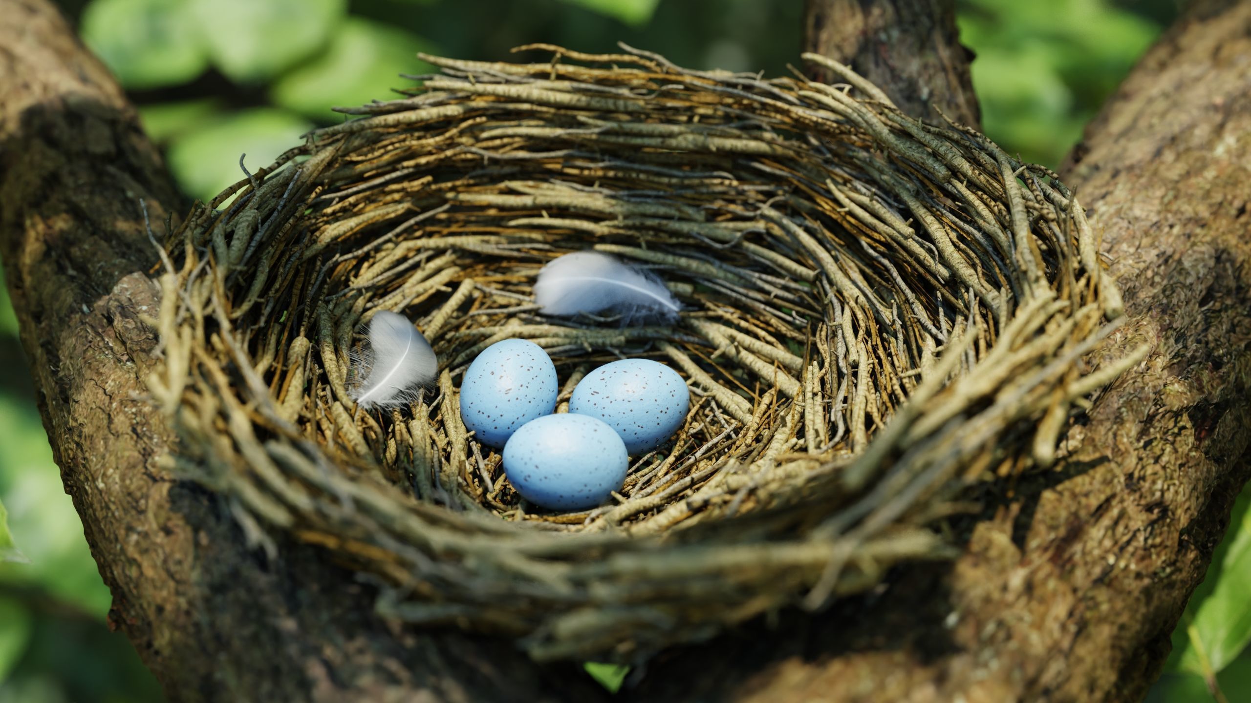 Bird Nest Nature Scene 3D model_8