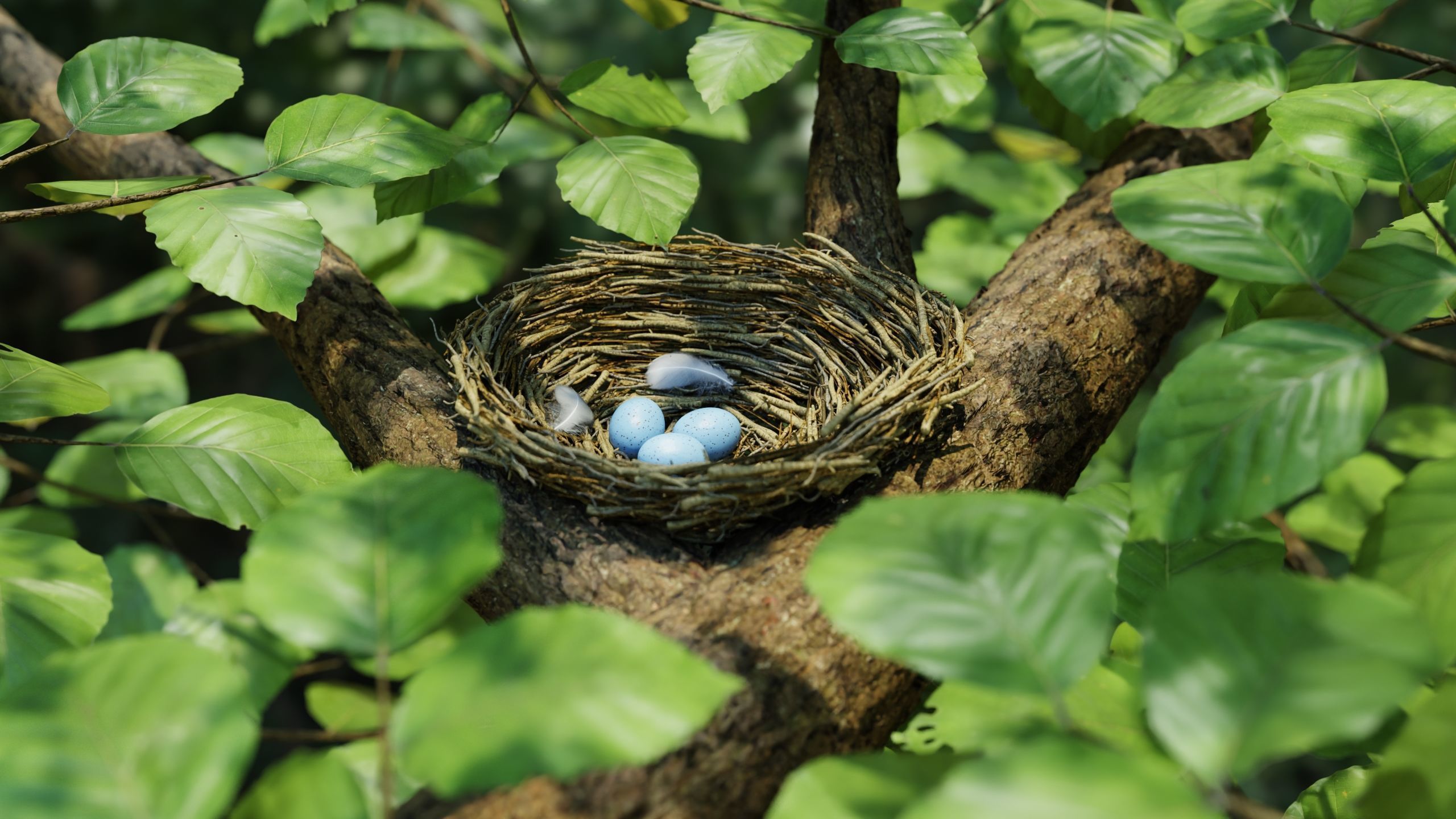 Bird Nest Nature Scene 3D model_9