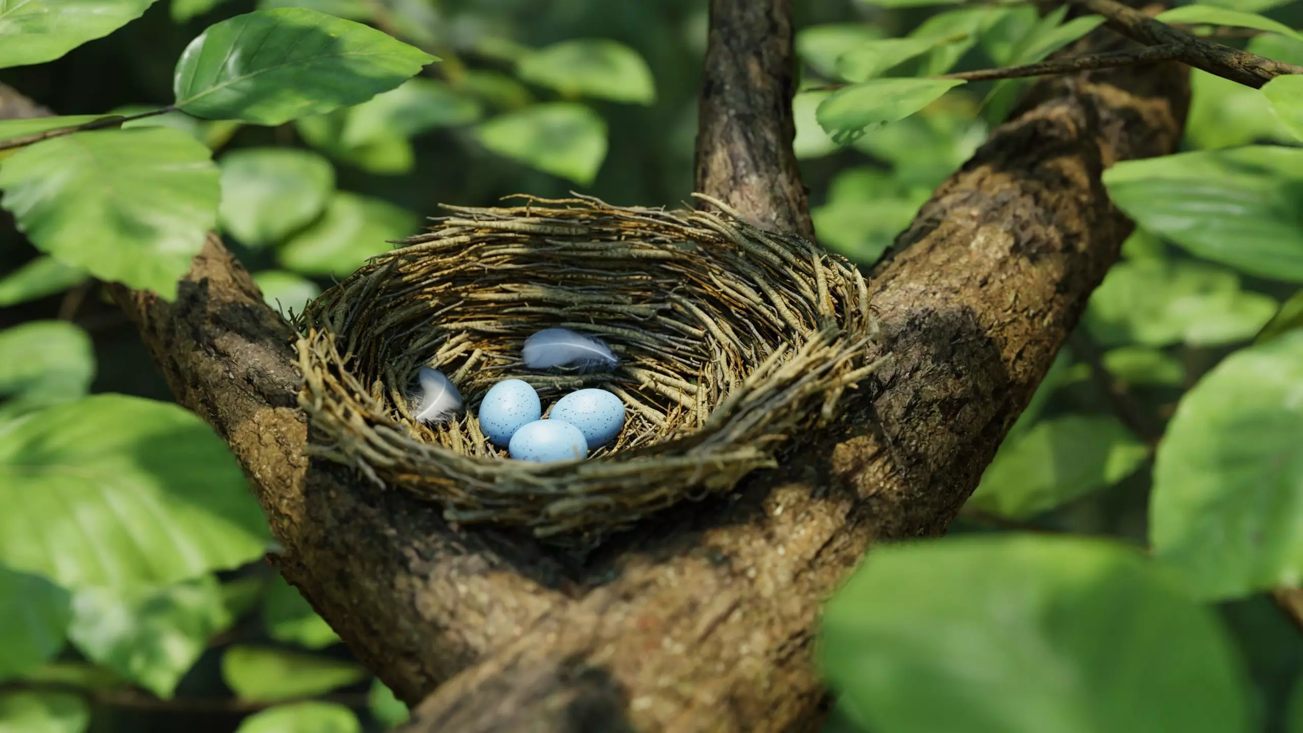 Bird Nest Nature Scene 3D model_0