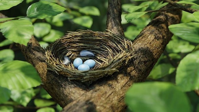 Bird Nest Nature Scene 3D model