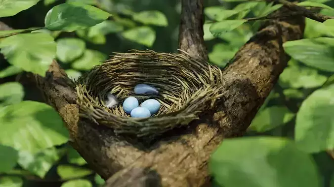 Bird Nest Nature Scene 3D model Bird Nest Nature Scene 3D model