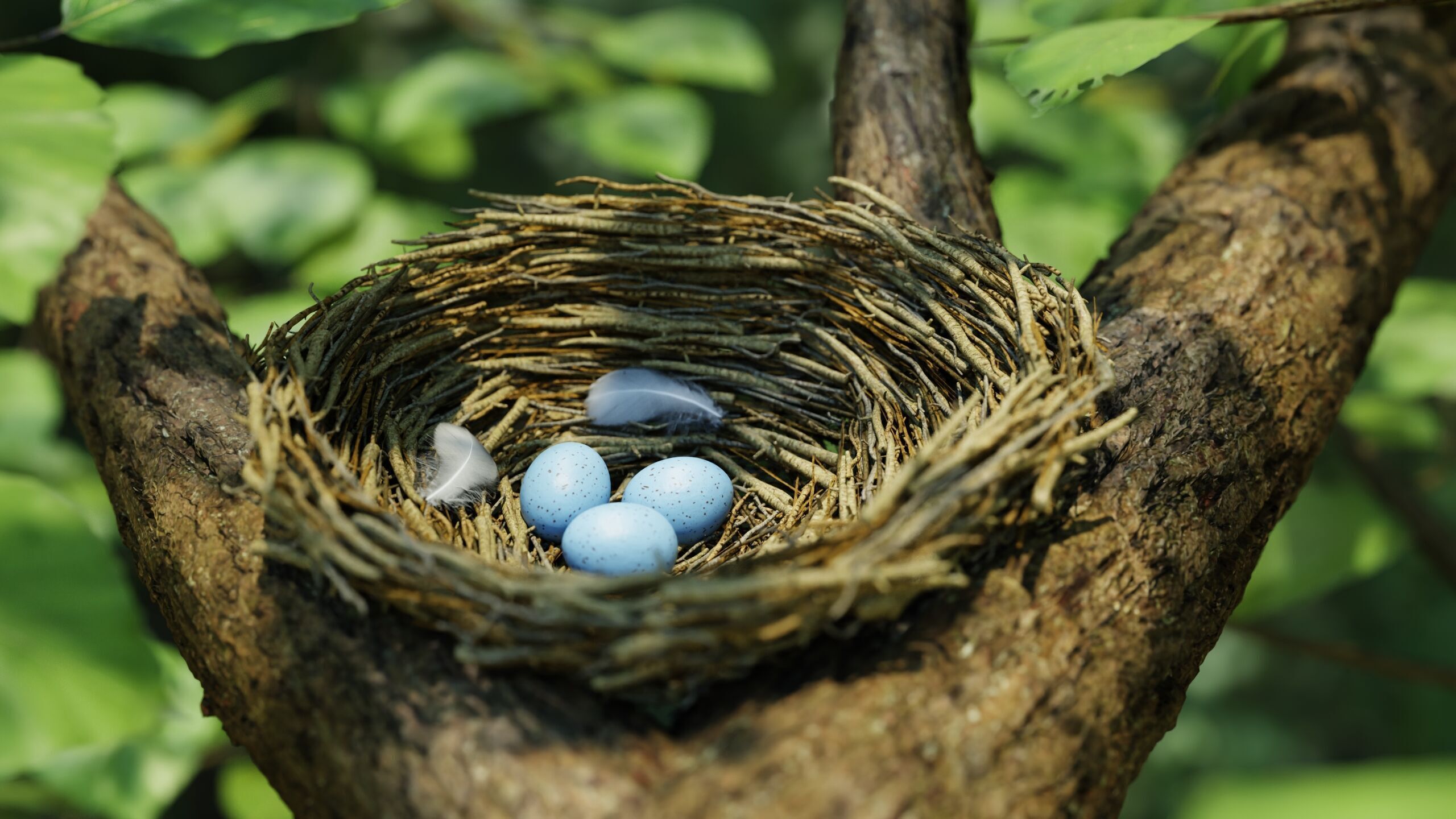 Bird Nest Nature Scene 3D model_7