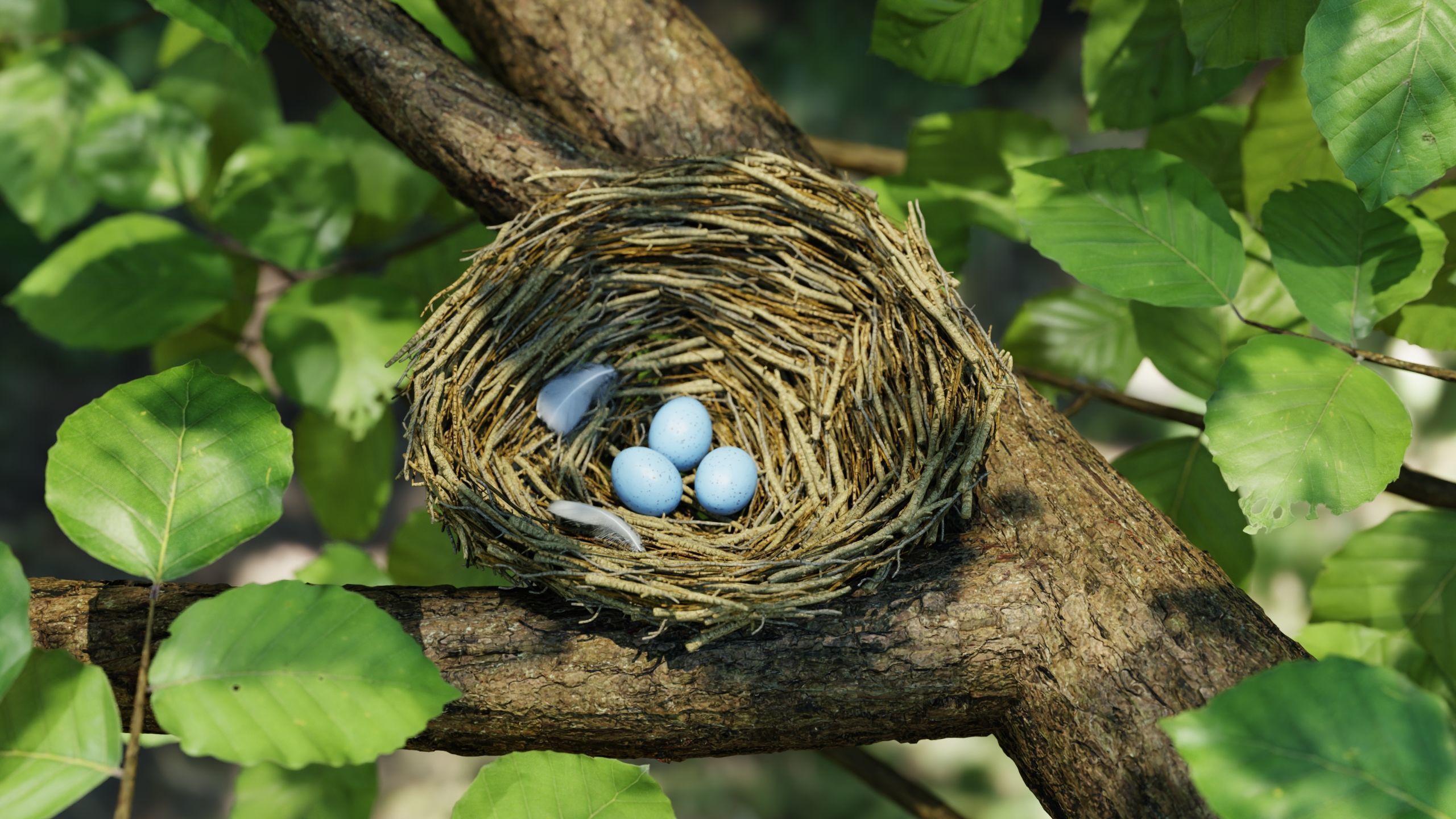 Bird Nest Nature Scene 3D model_6