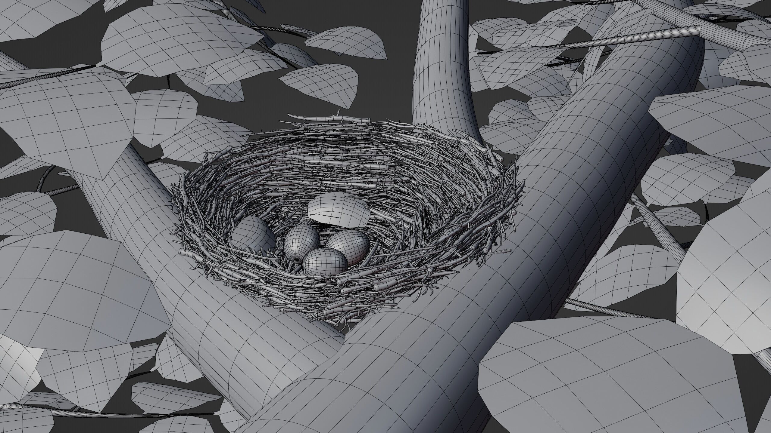 Bird Nest Nature Scene 3D model_12