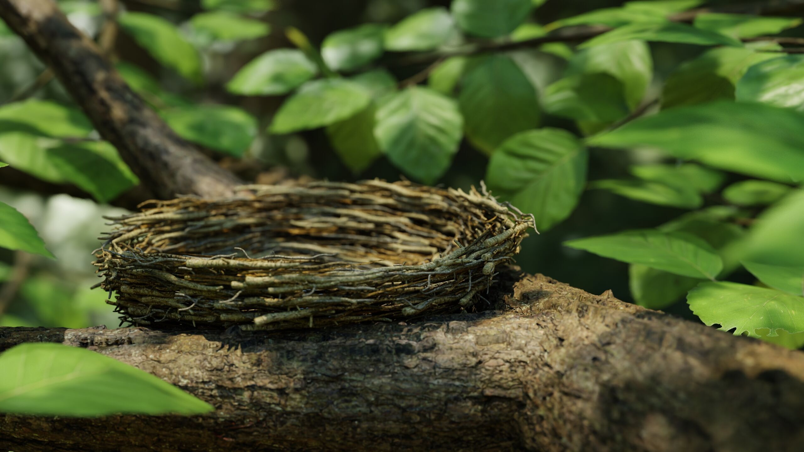 Bird Nest Nature Scene 3D model_5