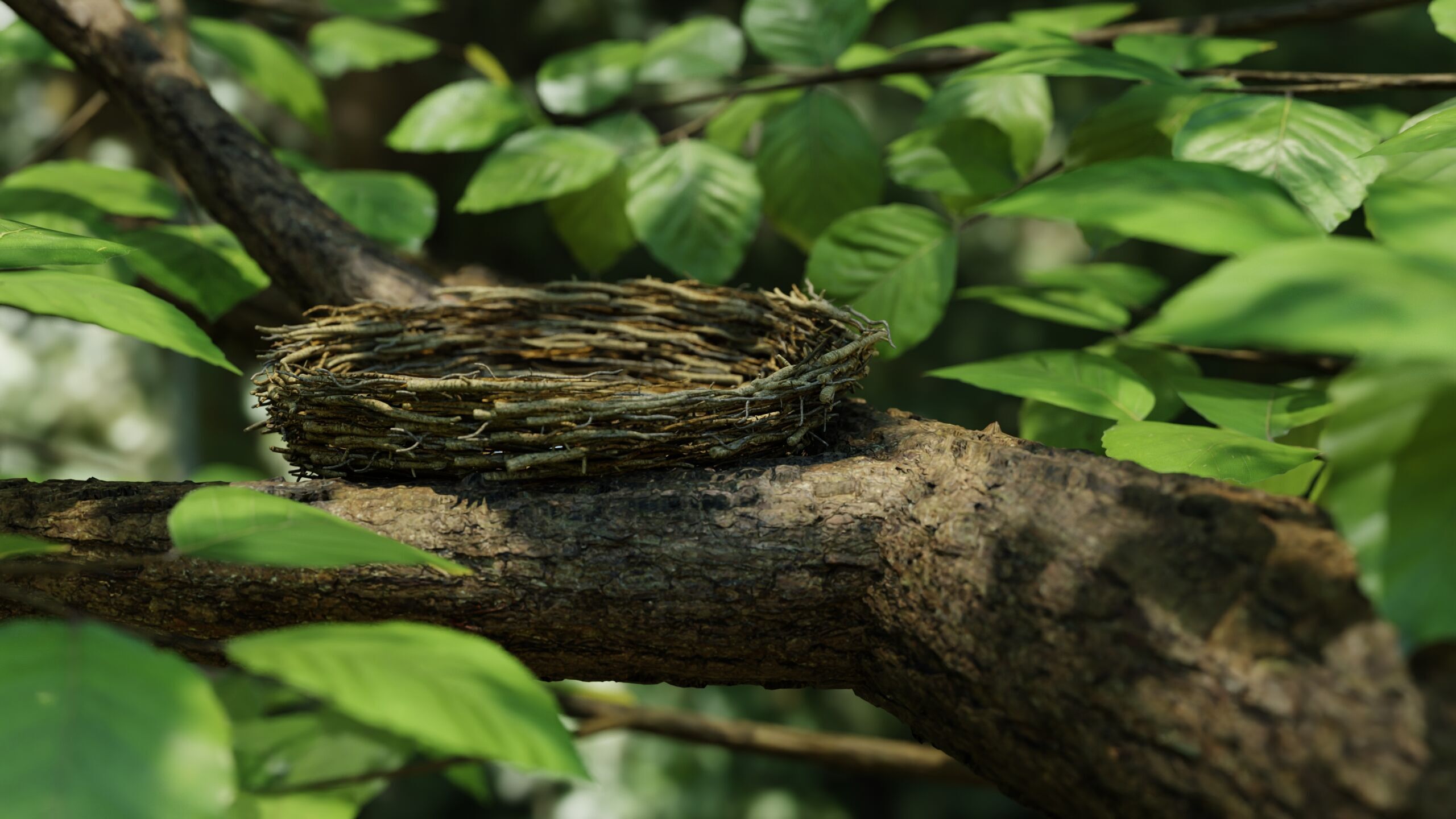 Bird Nest Nature Scene 3D model_3