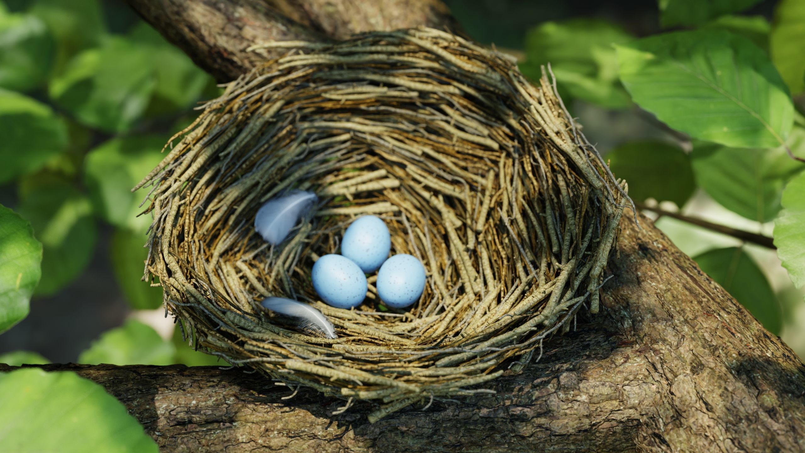 Bird Nest Nature Scene 3D model_4