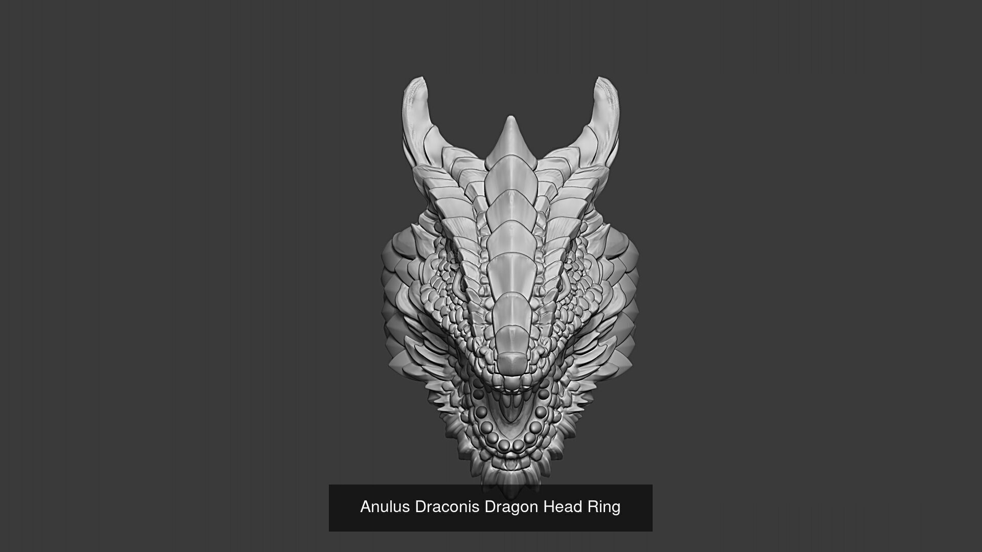 Fantasy Animal Head Rings 3D Model Collection_4